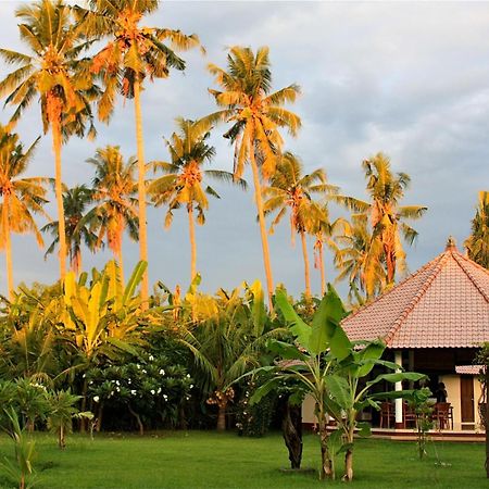 Bali Oase Resort Pemuteran  Ngoại thất bức ảnh