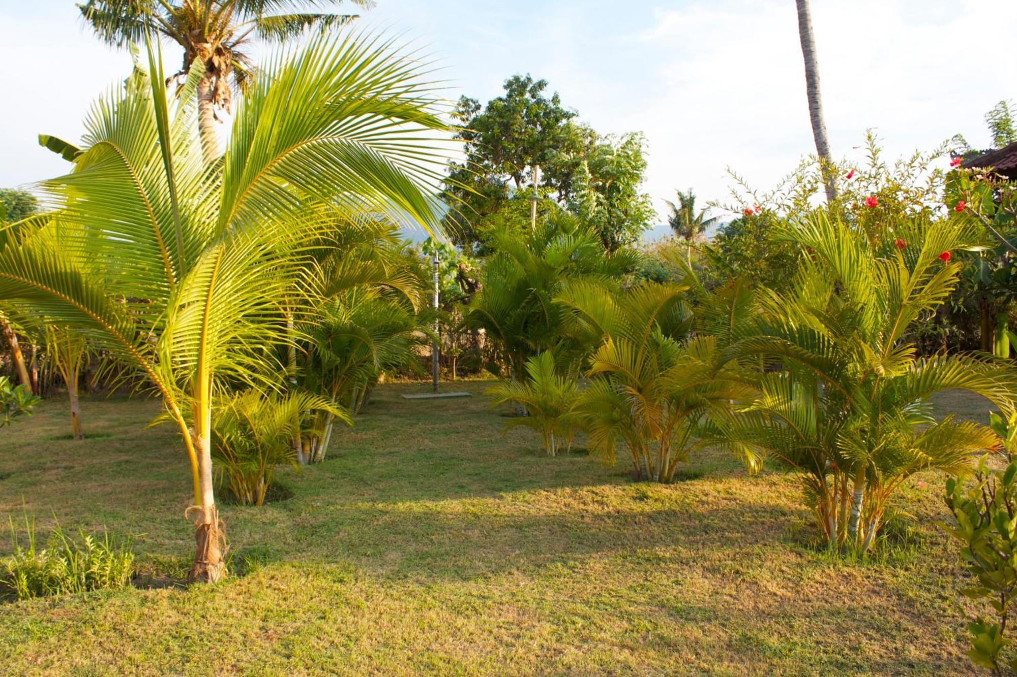 Bali Oase Resort Pemuteran  Ngoại thất bức ảnh