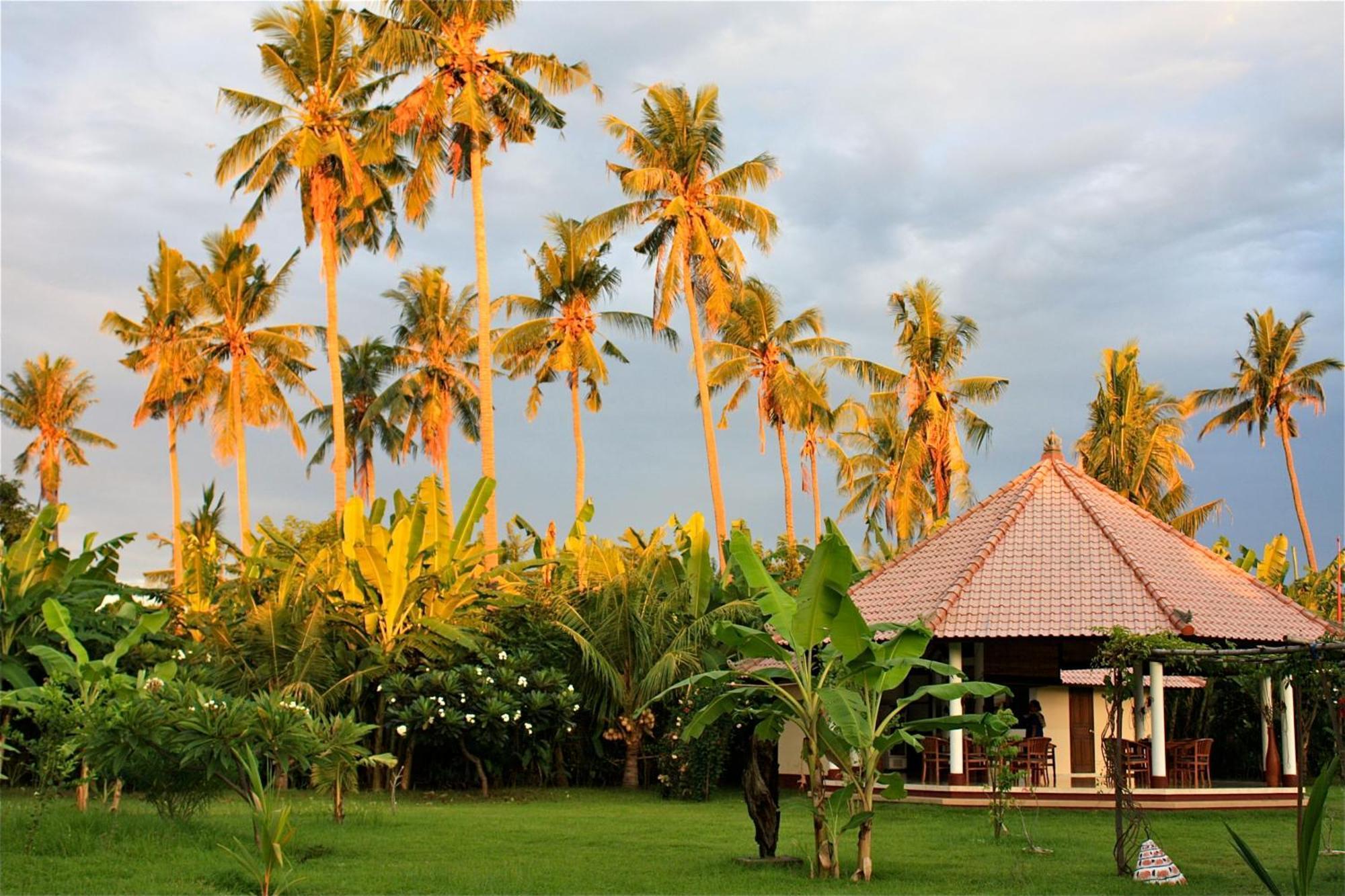Bali Oase Resort Pemuteran  Ngoại thất bức ảnh